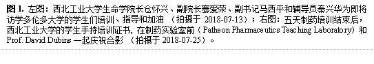 图1. 左图:bat365正版唯一官网长仓怀兴、副院长骞爱荣、副书记马西平和辅导员秦兴华为即将访学多伦多大学的学生们培训、指导和加油 (拍摄于2018-07-13);右图:五天制药培训结束后,bat365正版唯一官网的学生手持培训证书, 在制药实验室前(Patheon Pharmaceutics Teaching Laboratory)和Prof. David Dubins一起庆祝合影 (拍摄于2018-07-25)。